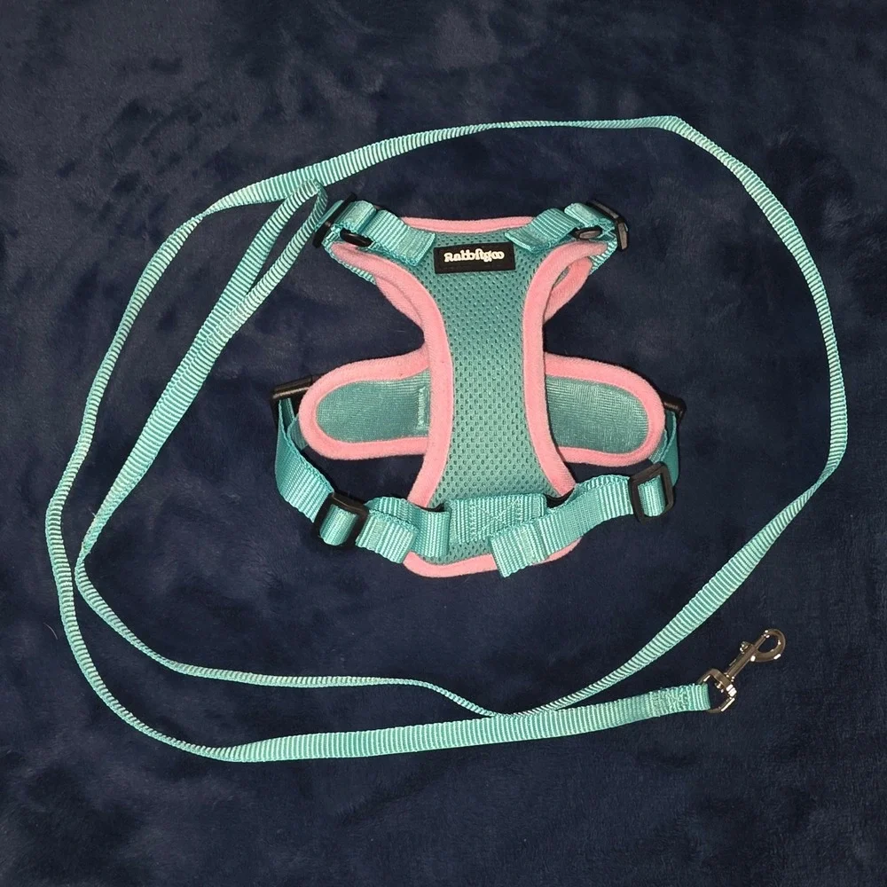 Rabbitgoo Cat Harness and Leash Set Green Pink XS Escape Proof Mesh Vest